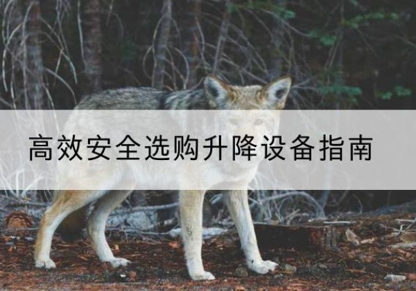 泰兴升降货梯厂家推荐-*安全选购升降设备指南