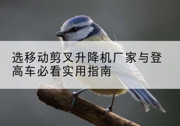泰兴电动升降机厂家-选移动剪叉升降机厂家与登高车必看实用指南