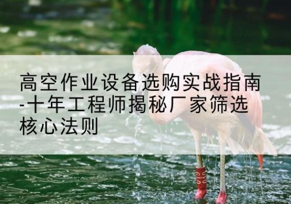 泰兴剪叉式升降机厂家-高空作业设备选购实战指南-十年工程师揭秘厂家筛选核心法则