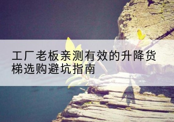 泰兴升降货梯怎么选-工厂老板亲测有效的升降货梯选购避坑指南